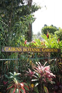 130714-Botanical-Gardens-Cairns-01